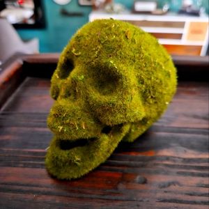Moss Covered Sugar Skull